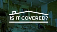 tenant damage insurance - NREIG