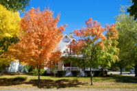 Fall maintenance checklist _ NREIG