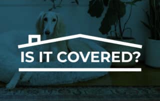 dog liability insurance