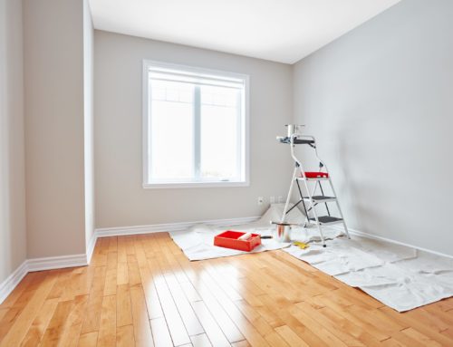 Revamp Your Rental Without Renovating 
