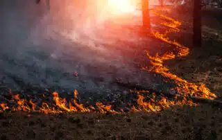 Wildfire avoidance checklist - NREIG