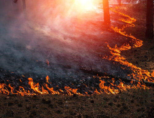 Wildfire Avoidance Checklist