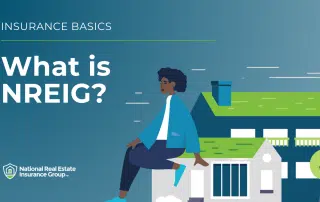 What is National Real Estate Insurance Group? - NREIG